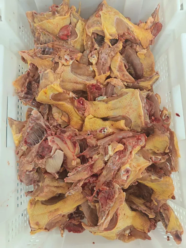 Chicken backs / carcass 2